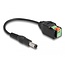 Delock DC Cable 2.1 x 5.5 mm male to Terminal Block Adapter with push button 15 cm