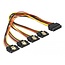 Delock Cable SATA 15 pin power plug with latching function > SATA 15 pin power receptacle 4 x straight 30 cm