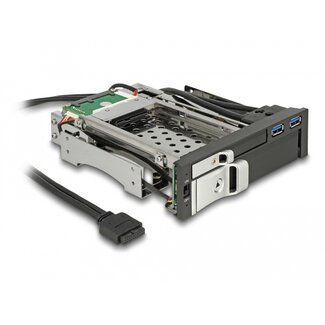 DeLOCK Delock 5.25″ Mobile Rack for 1 x 2.5″ + 1 x 3.5″ SATA HDD + 2 x USB 3.0 ports