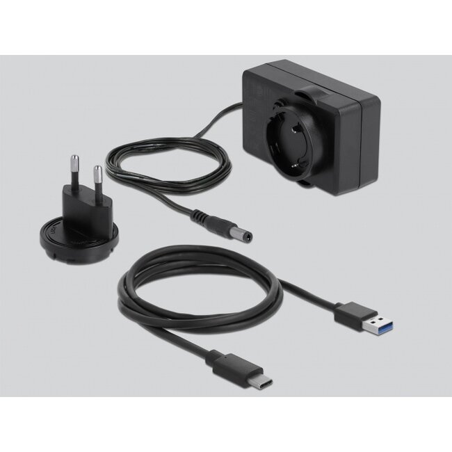 Delock USB Type-C™ Docking Station for 2 x SATA HDD / SSD transparent