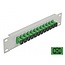 Delock 10″ Fiber Optic Patch Panel 12 Port SC Simplex green 1U grey