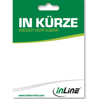 InLine® InLine® kartonnen hanger, met Euro perforatie