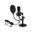 Delock Professional USB Condenser Microphone Set for Podcasting and Gaming