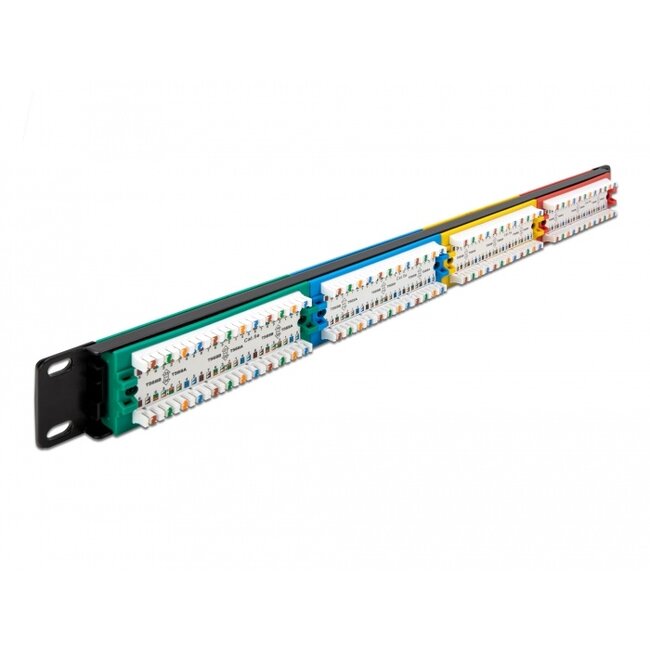 Delock 19″ Patch Panel 24 port Cat.5e 1U coloured