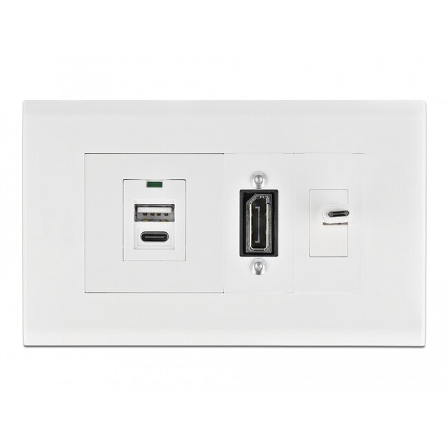 Delock Easy 45 Module Holder for installation trunking 130 x 80 mm