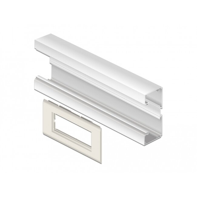 Delock Easy 45 Module Holder for installation trunking 130 x 80 mm