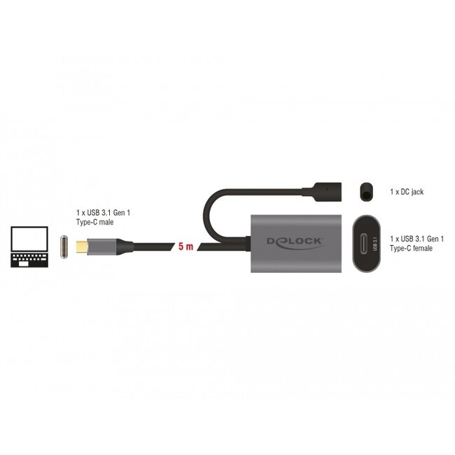 Delock Active USB 3.1 Gen 1 extension cable USB Type-C™ 5 m