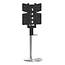 Cavus TV Vloerstandaard GATE RVS voor Sonos BEAM
