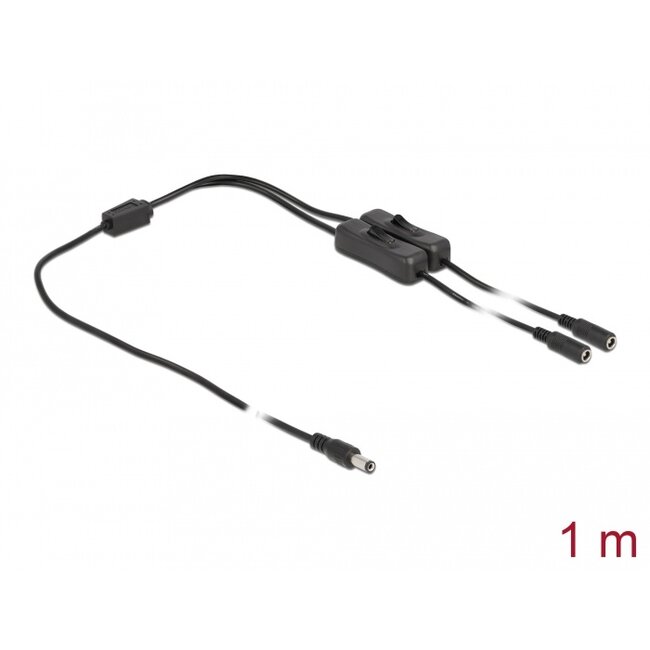 Delock Cable DC 5.5 x 2.1 mm male to 2 x DC female with switch 1 m