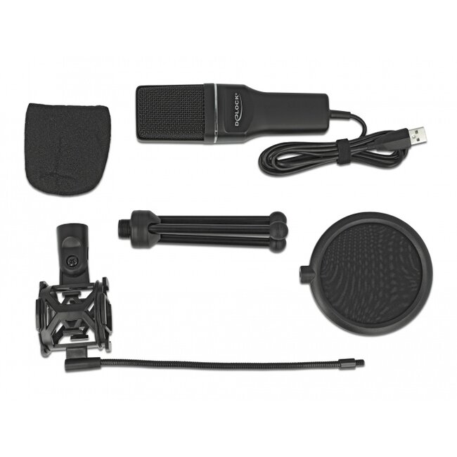 Delock USB Condenser Microphone Set - for Podcasting, Gaming and Vocals