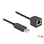 Delock Serial Connection Cable with FTDI chipset, USB 2.0 Type-A male to RS-232 RJ45 female 1 m black