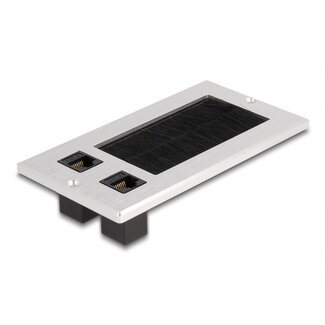 DeLOCK Delock Cable entry with brush and 2 x RJ45 Keystone module Cat.6 aluminium