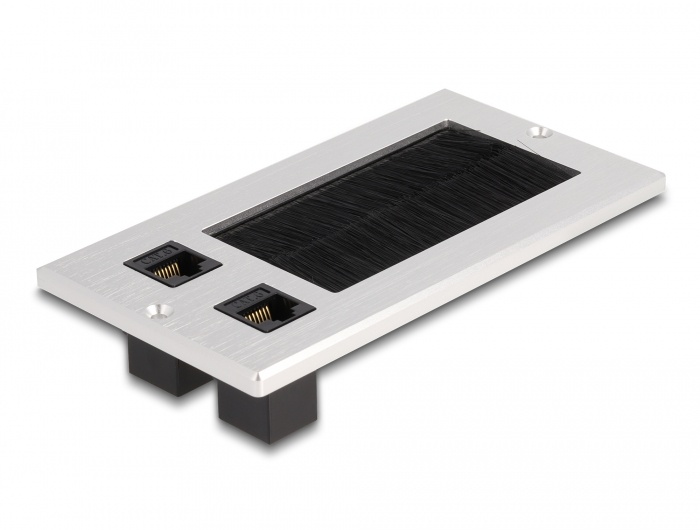 DeLOCK Delock Cable entry with brush and 2 x RJ45 module Cat.6 aluminium