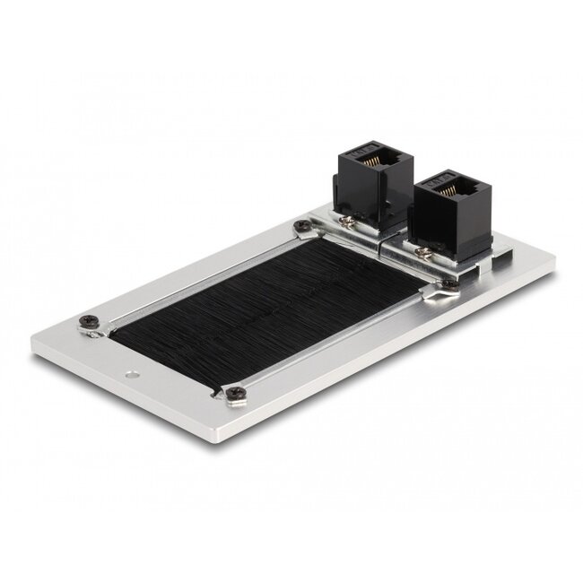 Delock Cable entry with brush and 2 x RJ45 Keystone module Cat.6 aluminium