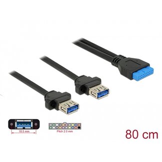 DeLOCK Delock Cable USB 3.0 pin header female 2.00 mm 19 pin > 2 x USB 3.0 Type-A female panel-mount 80 cm