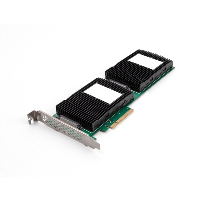 Delock PCI Express 4.0 x8 Card to 2 x internal U.2 NVMe SFF-8639 - Bifurcation (LxW: 236 x 87 mm)