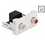 Delock Easy 45 Module 2 x RCA female to RJ45 female port 22.5 x 45 mm