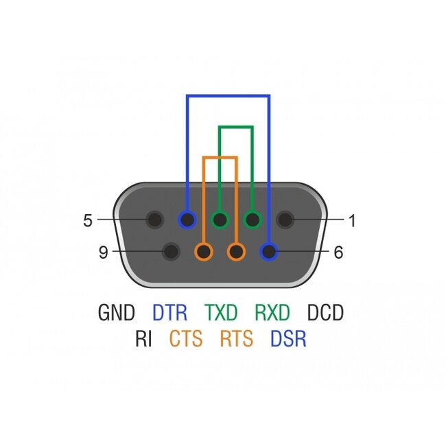 Delock RS-232/422/485 Loopback adapter with DB9 female