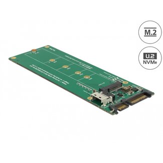 DeLOCK Delock U.2 SFF-8654 or SATA Converter to 1 x M.2 Key M slot