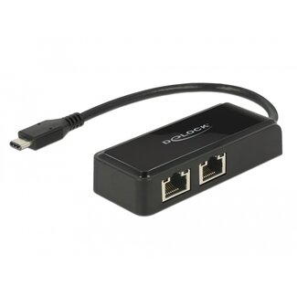 DeLOCK Delock Adapter SuperSpeed USB (USB 3.1 Gen 1) with USB Type-C™ male > 2 x Gigabit LAN 10/100/1000 Mbps