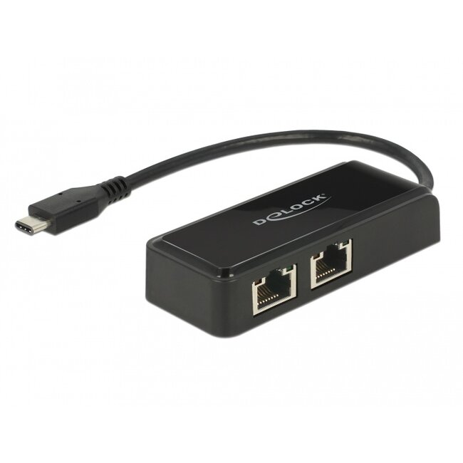 Delock Adapter SuperSpeed USB (USB 3.1 Gen 1) with USB Type-C™ male > 2 x Gigabit LAN 10/100/1000 Mbps