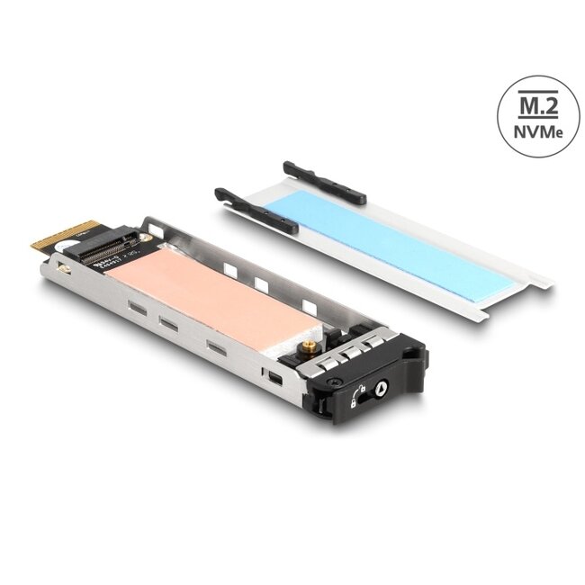 Delock Mobile Rack Inner Tray 1 x M.2 NMVe SSD for Mobile Rack 47028