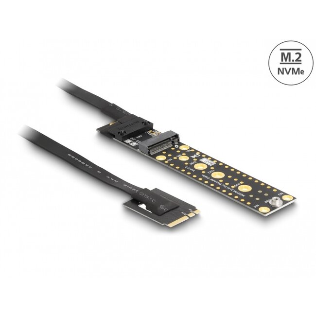 Delock Riser Card NVMe M.2 Key A+E male to Key M Slot with 20 cm cable