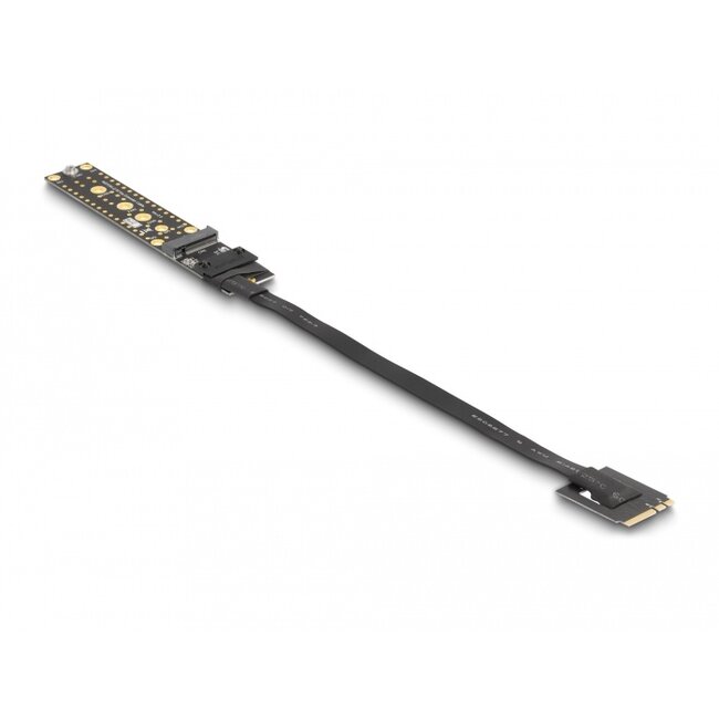 Delock Riser Card NVMe M.2 Key A+E male to Key M Slot with 20 cm cable