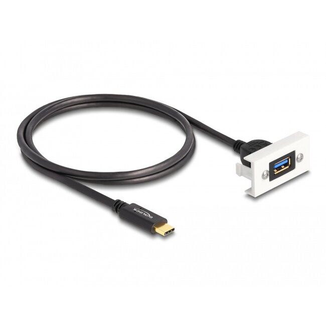 Delock Easy 45 Module SuperSpeed USB 10 Gbps (USB 3.2 Gen 2) USB Type-A female to USB Type-C™ male with pigtail, 22,5 x 45 mm