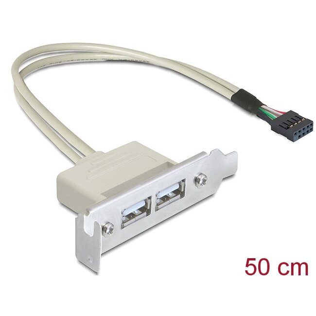 Delock Slot bracket USB 2.0 low profile 2 port