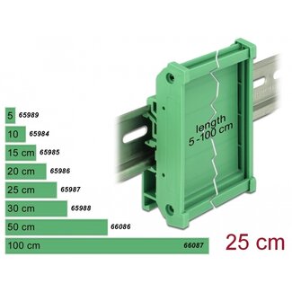 DeLOCK Delock Board Holder (72 mm) for DIN Rail 25 cm long