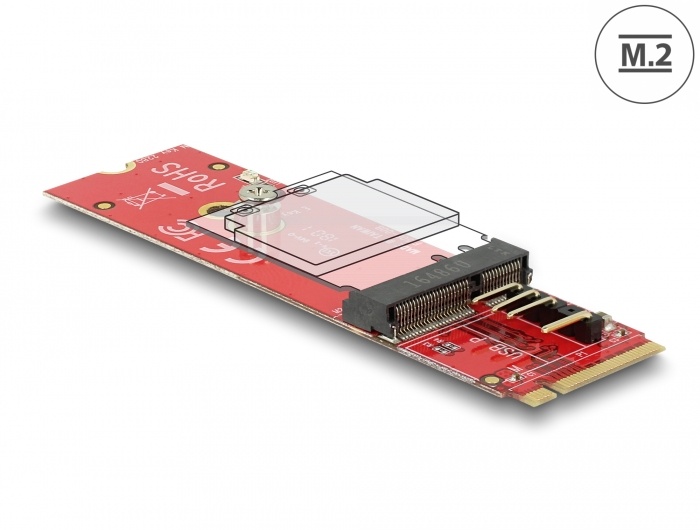 DeLOCK 63343 Intern M.2 interfacekaart/-adapter