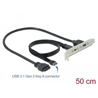 DeLOCK Delock USB 3.1 Slot Bracket with 1 x USB Type-C™ and 1 x USB Type-A Port