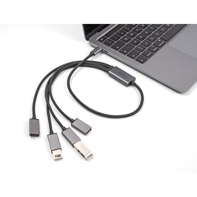 Delock 4 Port USB 2.0 Cable Hub with USB Type-C™ connector 60 cm