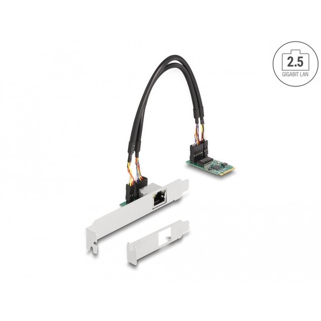 Delock M.2 Key B+M 1 x RJ45 2.5 Gigabit LAN Network Card