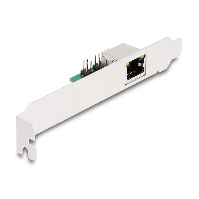 Delock M.2 Key B+M 1 x RJ45 2.5 Gigabit LAN Network Card