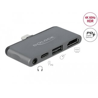 DeLOCK Delock Mini Docking Station for iPad Pro / Mobile Devices with 4K 60 Hz