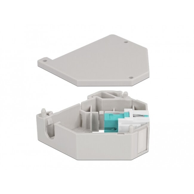 Delock DIN rail Adapter with Keystone SC Simplex female to SC Simplex female aqua