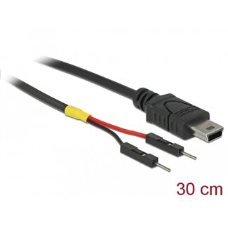 DeLOCK Delock USB Power Cable Mini-B to 2 x pin header male separate power 30 cm