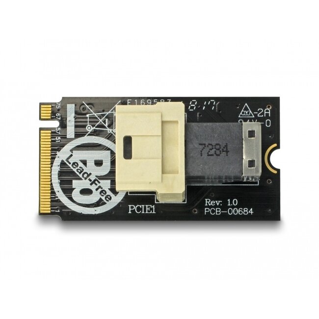 Delock Adapter M.2 Key M > SFF-8643 NVMe horizontal 2242