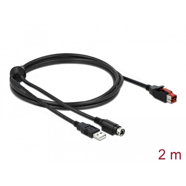 Delock PoweredUSB cable male 24 V to USB Type-A male + Mini-DIN 3 pin male 2 m for POS printers and terminals