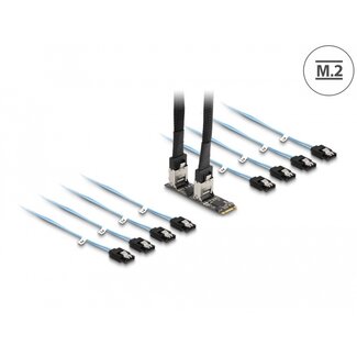 DeLOCK Delock Converter M.2 2280 Key B+M male to 8 x SATA