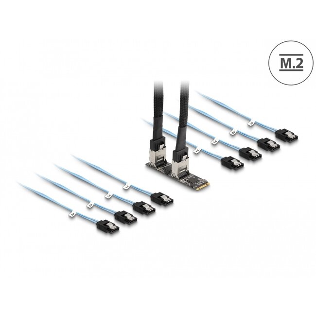 Delock Converter M.2 2280 Key B+M male to 8 x SATA