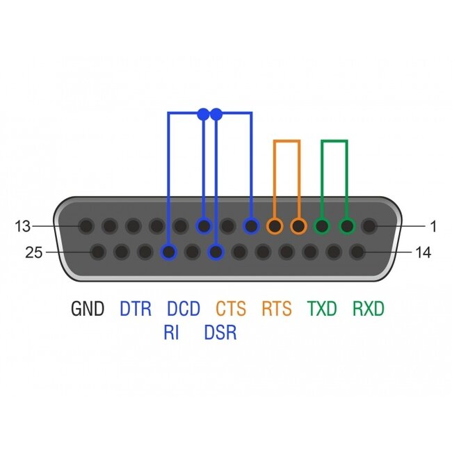 Delock RS-232/422/485 Loopback adapter with DB25 female