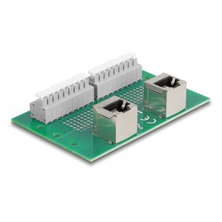 DeLOCK Delock RJ45 2 x female to 2 x Terminal Block with push-button for DIN rail angled