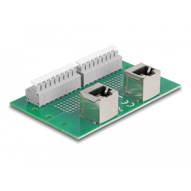 Delock RJ45 2 x female to 2 x Terminal Block with push-button for DIN rail angled