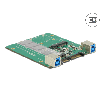 DeLOCK Delock Converter SATA / USB 3.1 Type-B female > M.2 / mSATA Slot