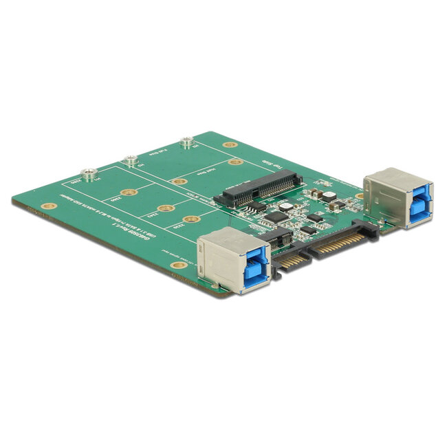 Delock Converter SATA / USB 3.1 Type-B female > M.2 / mSATA Slot