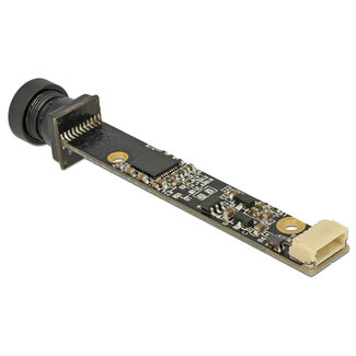 DeLOCK Delock USB 2.0 Camera Module 5.04 megapixel lens side facing 55° V5 fix focus