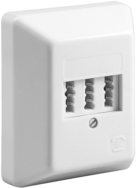 Pro 3x TAE-NFN wall plate